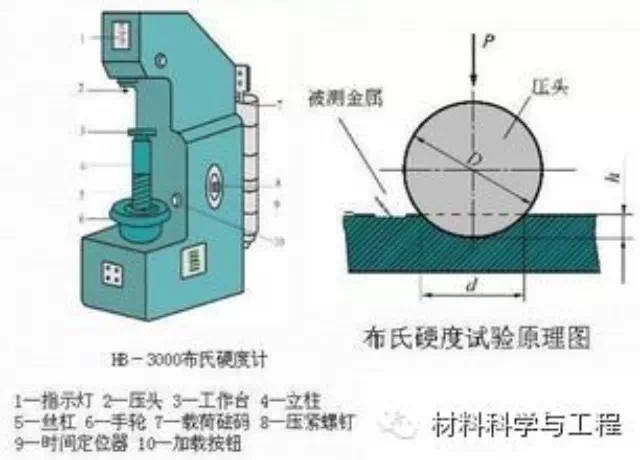 tlon.com.cn